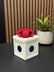 Signature Gift Boxes (Square)